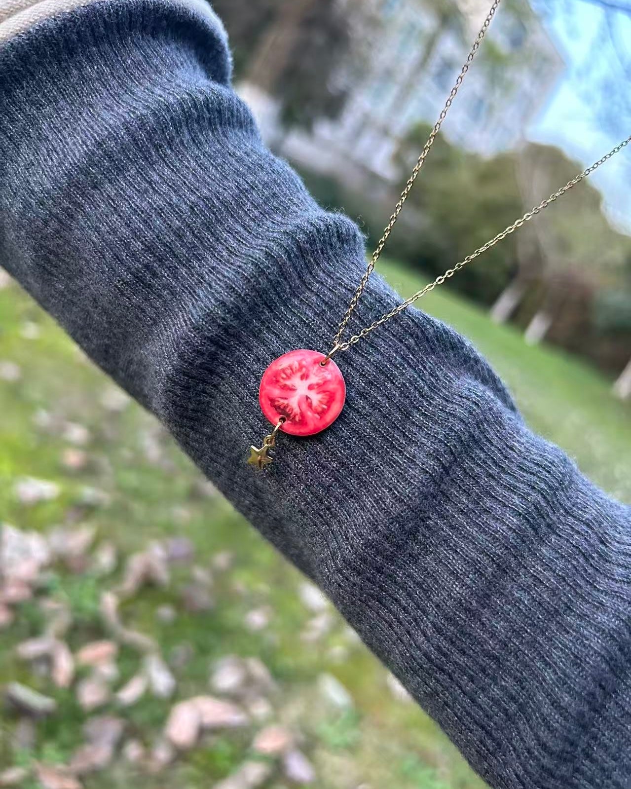 Tomato Slice Necklace